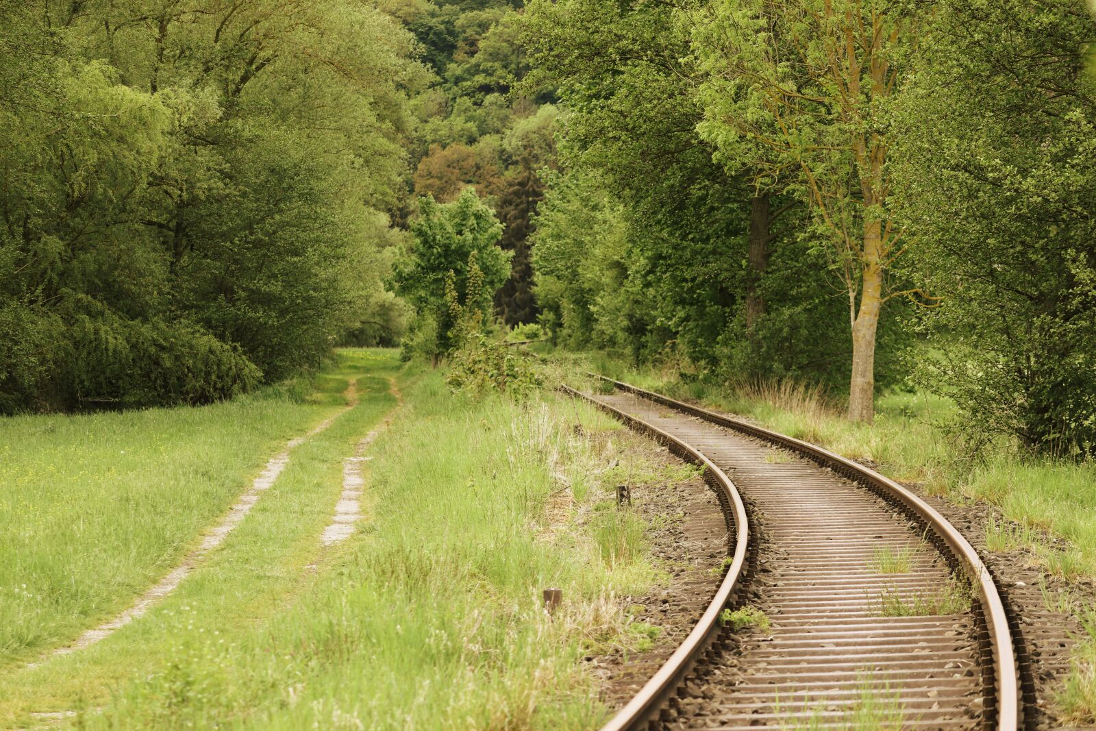 Canon EOS 200D (EOS Rebel SL2 / EOS Kiss X9) sample photo. Rails, railroad tracks, rail photography