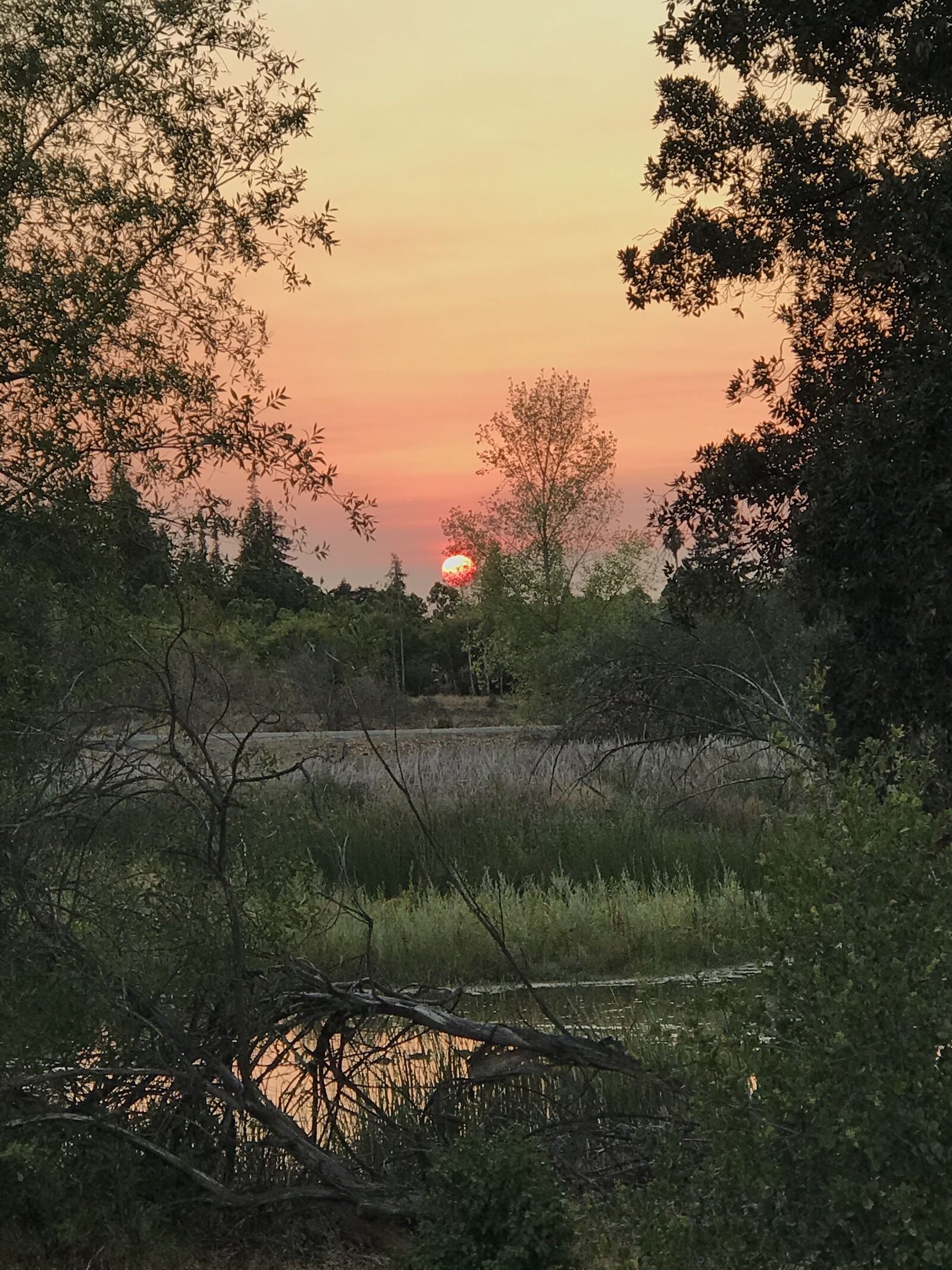 Apple iPhone 7 Plus sample photo. Sunset, evening, nature photography