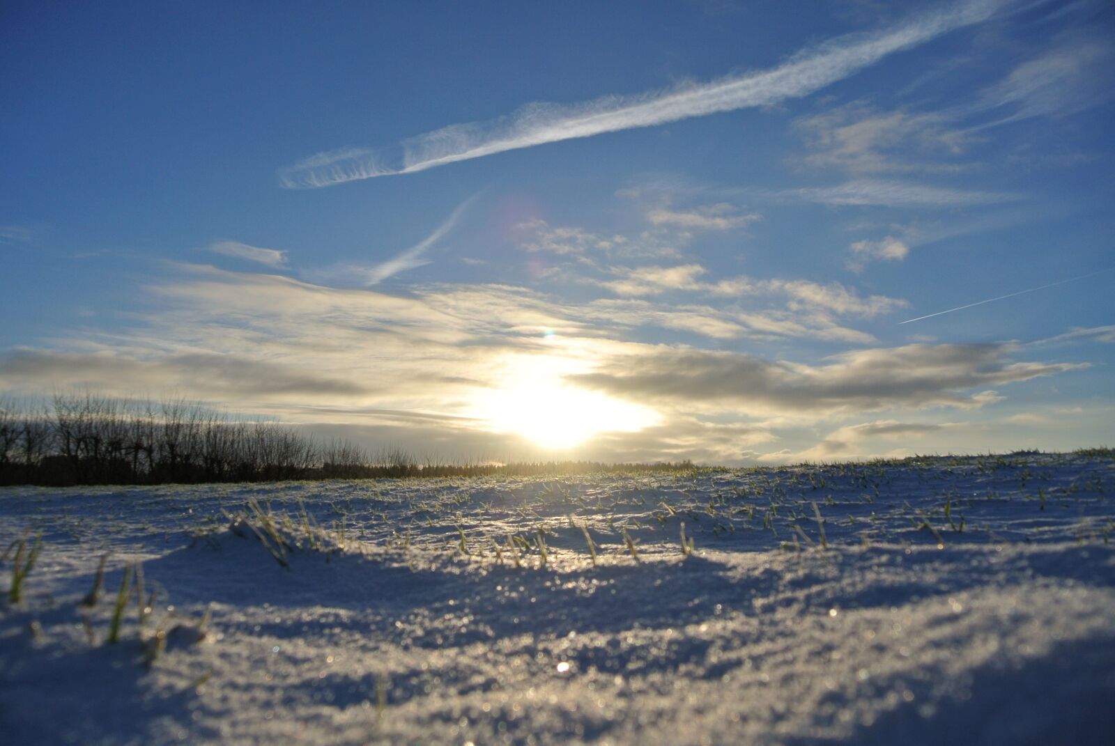 Nikon 1 J2 sample photo. Snow, winter, cold photography