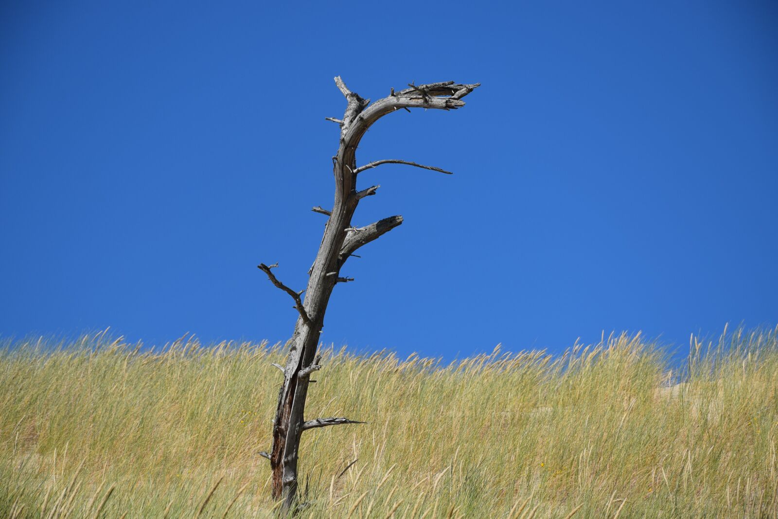 Nikon D5300 sample photo. Landscape, grass, sky photography