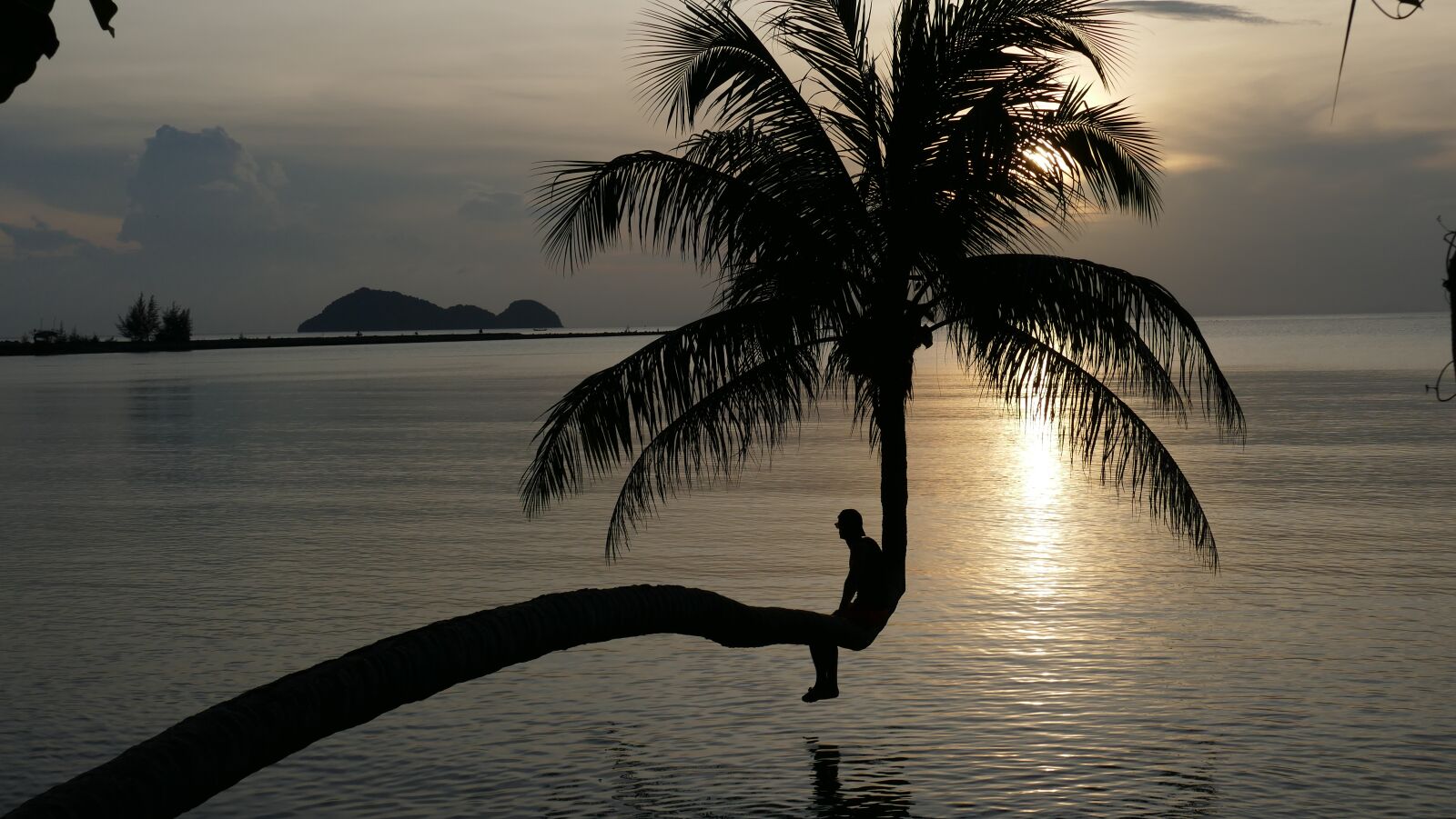 Leica V-Lux (Typ 114) sample photo. Sunset, sea, palm photography