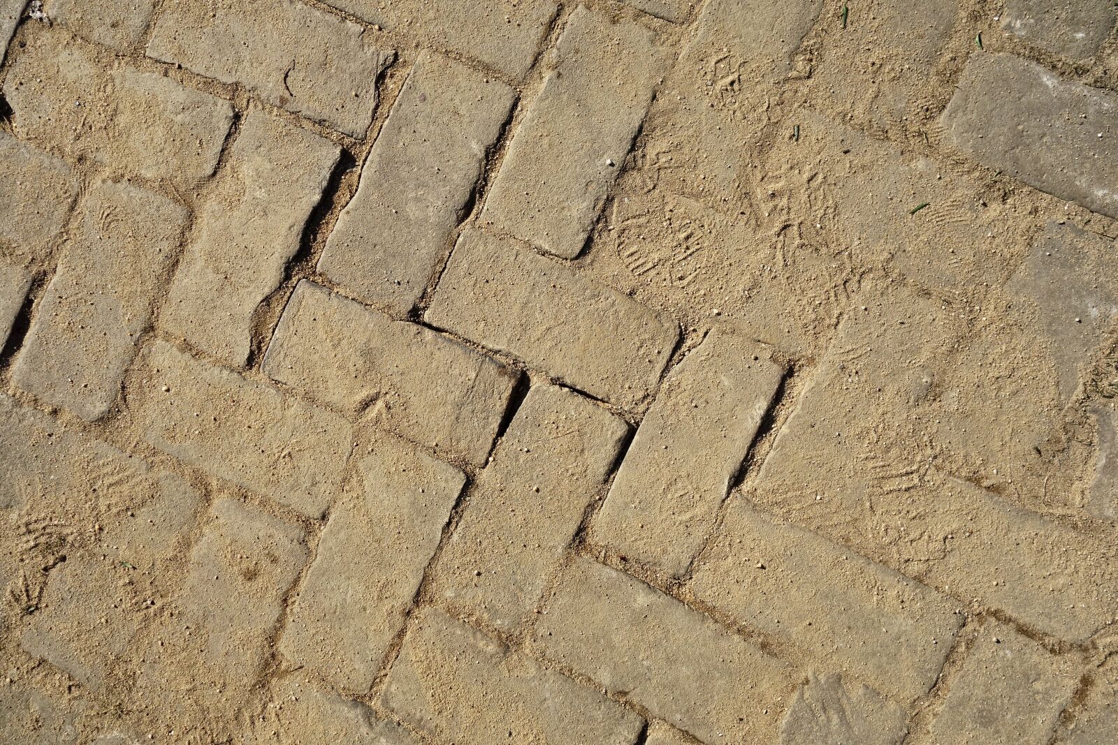 Sony Cyber-shot DSC-RX100 sample photo. Paving, street, road photography