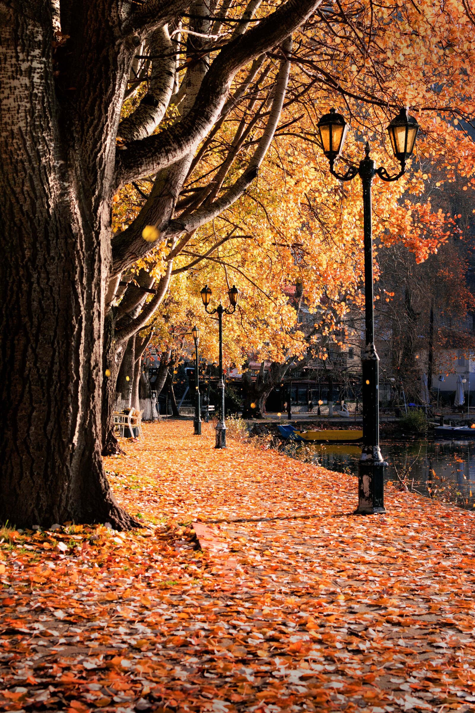 Nikon D5300 sample photo. Autumn, fall, leaves photography