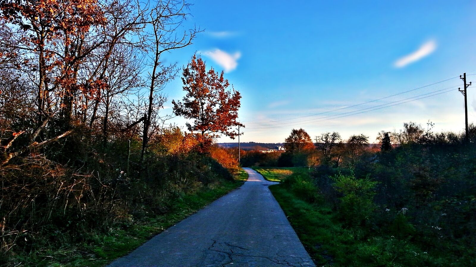 Samsung Galaxy S3 sample photo. Field, landscape, way photography
