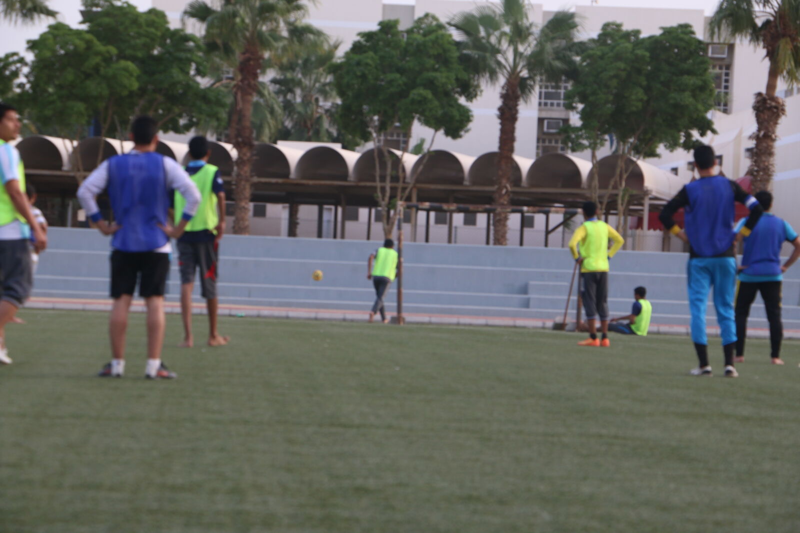 Canon EOS 70D sample photo