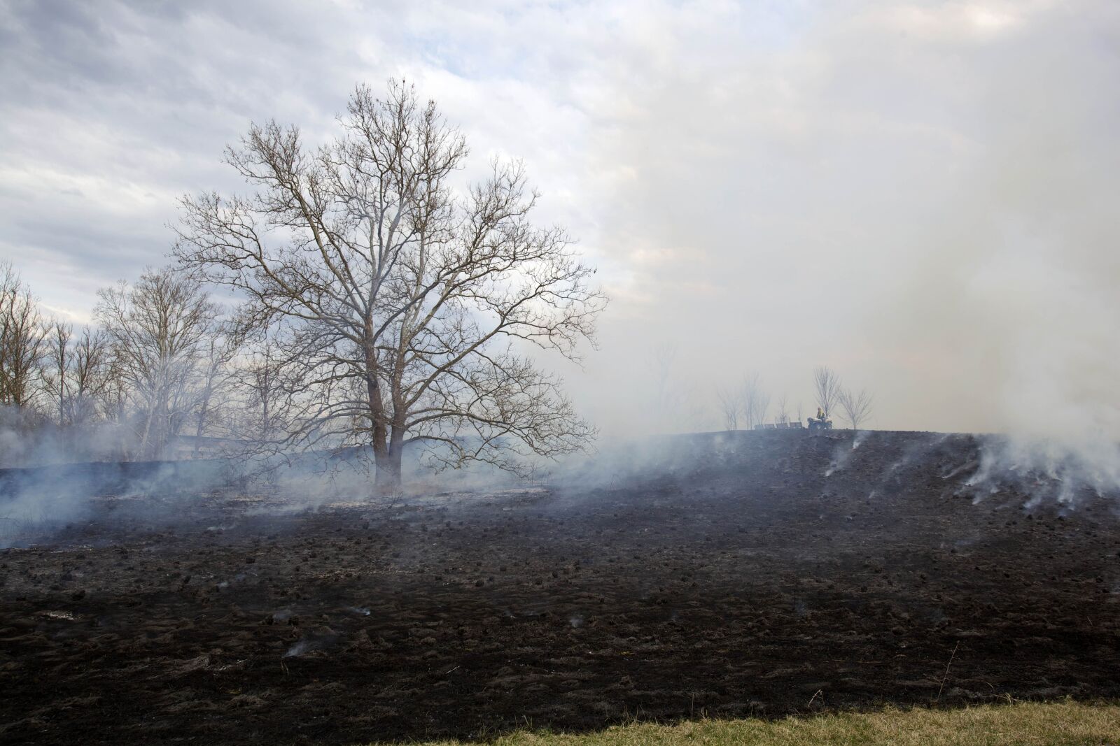 Canon EOS 5D Mark II sample photo. Burn, wildlife, habitat photography