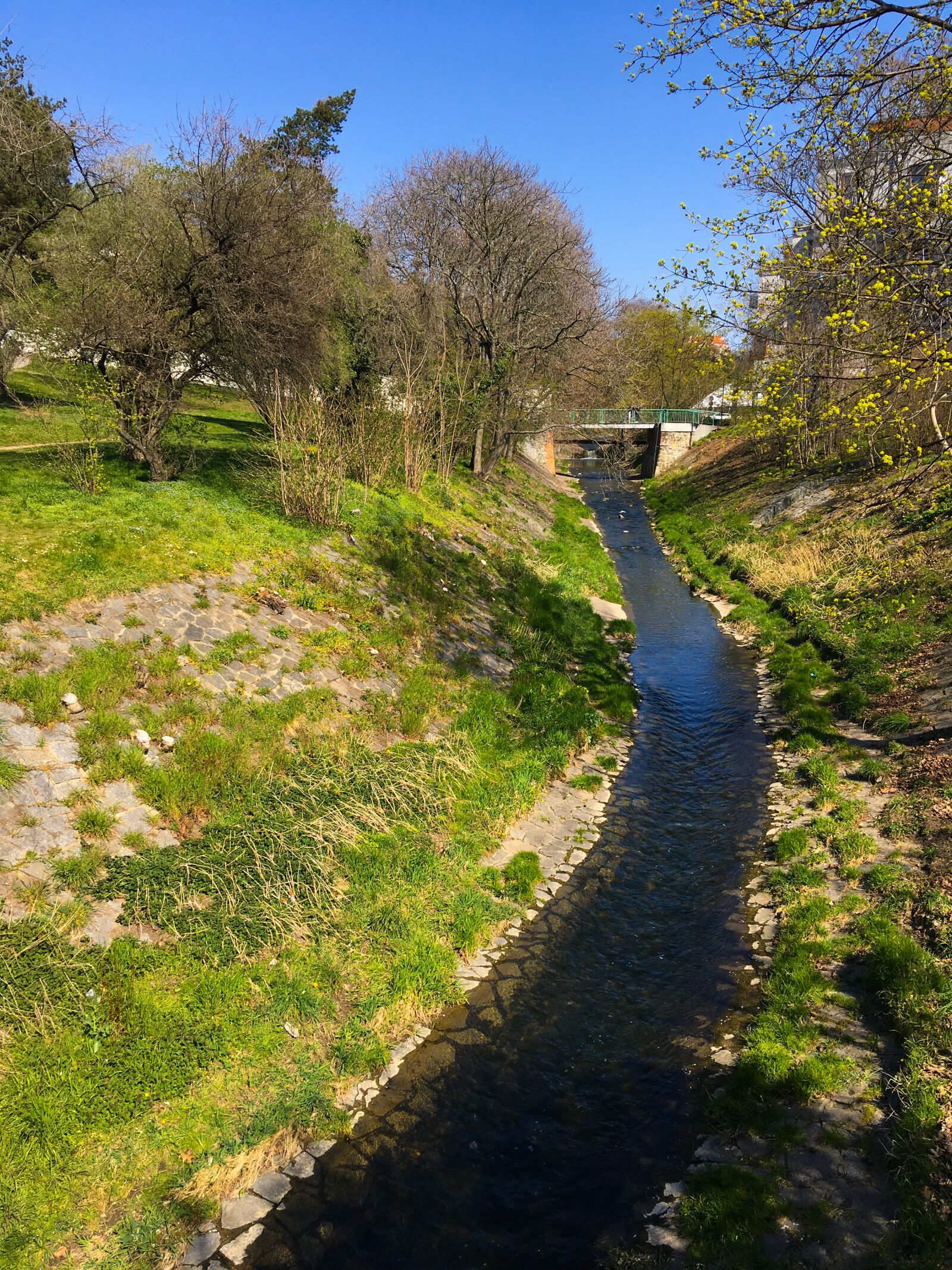 iPhone SE back camera 4.15mm f/2.2 sample photo. Botič, stream, spring photography