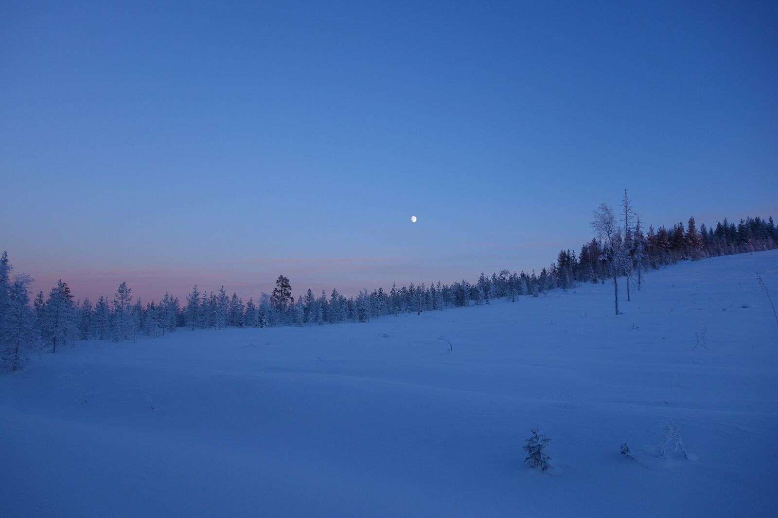 Sony Cyber-shot DSC-RX100 sample photo. Sweden, nature, landscape photography