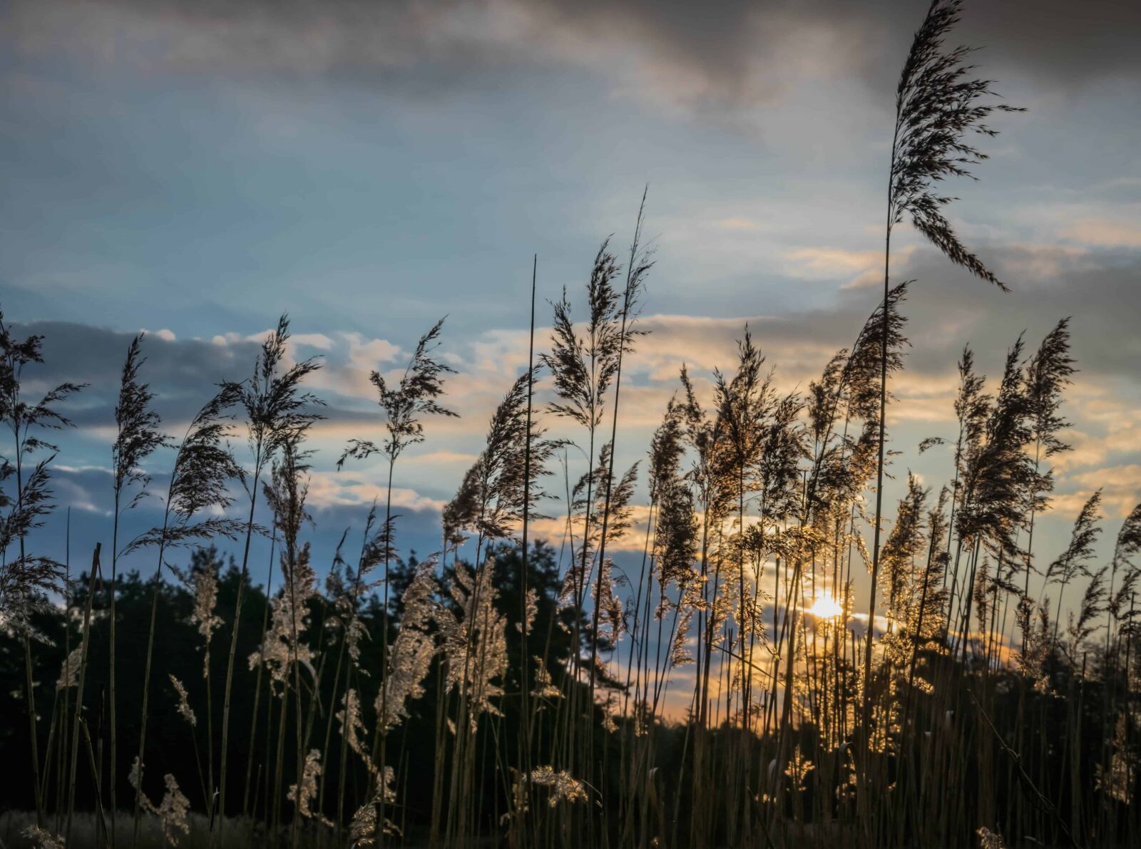 Nikon D3300 sample photo. Sunset, landscape, dawn, silhouette photography