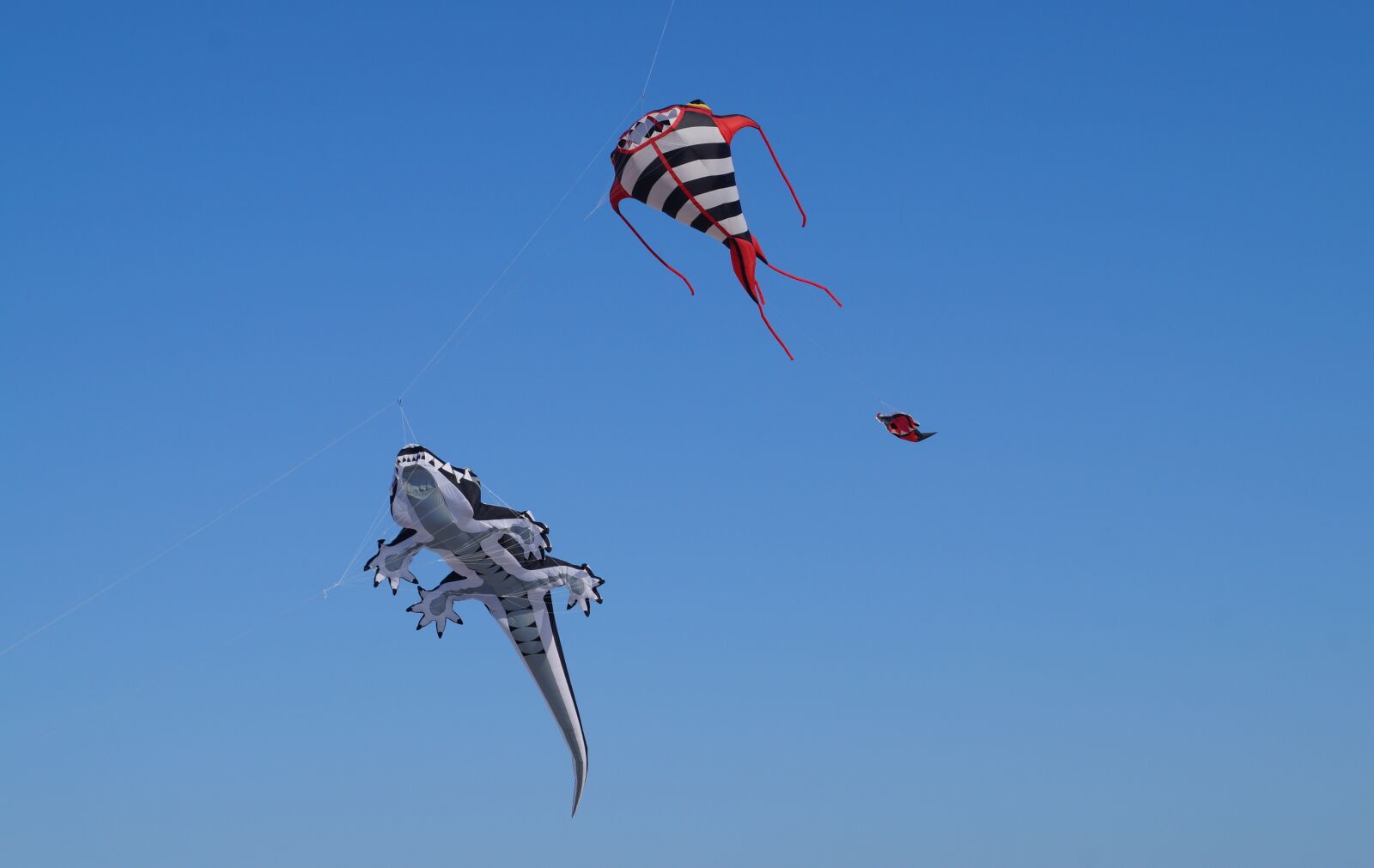 Sony DT 18-55mm F3.5-5.6 SAM II sample photo. Dragons, kite, air photography