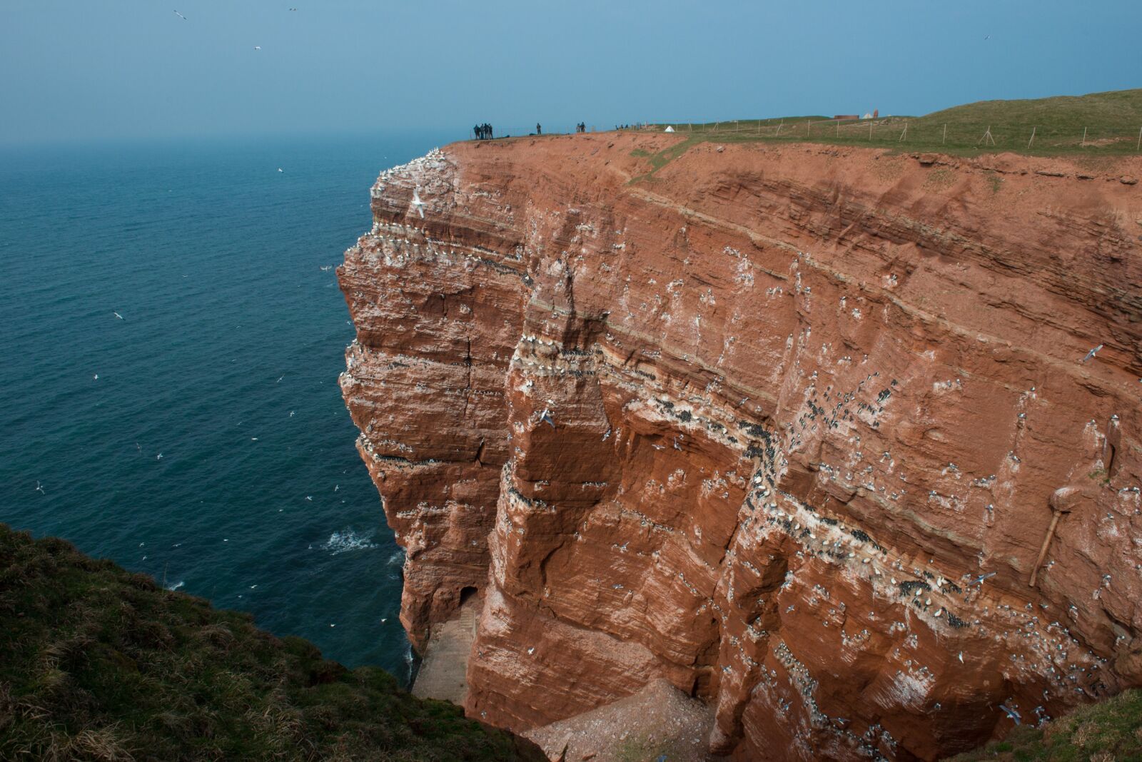 Nikon D800 sample photo. Helgoland, cliffs, sea island photography