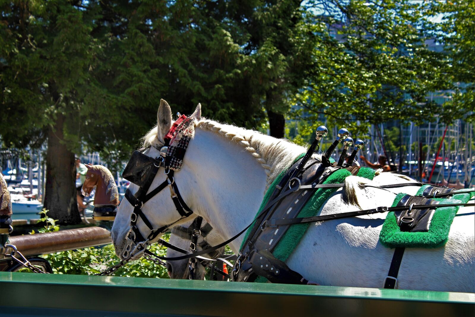 Canon EOS 1300D (EOS Rebel T6 / EOS Kiss X80) sample photo. Horse, blinders, white photography