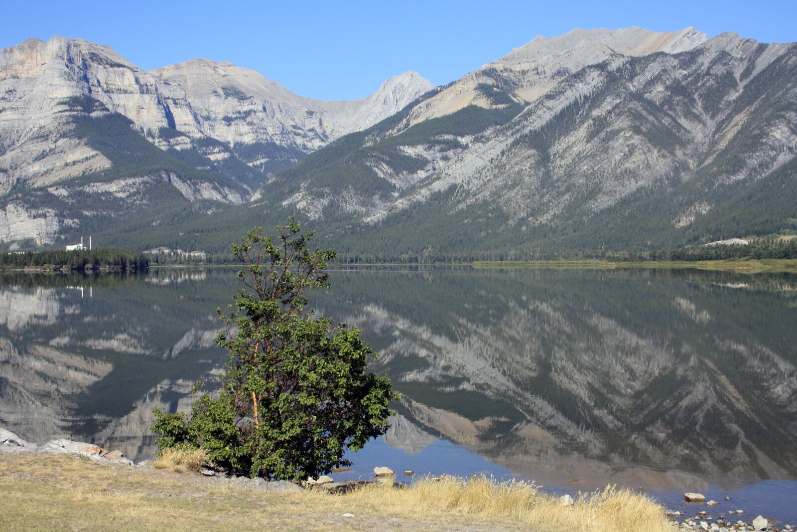 Canon EOS 1000D (EOS Digital Rebel XS / EOS Kiss F) sample photo. Rockies, canada, landscape photography