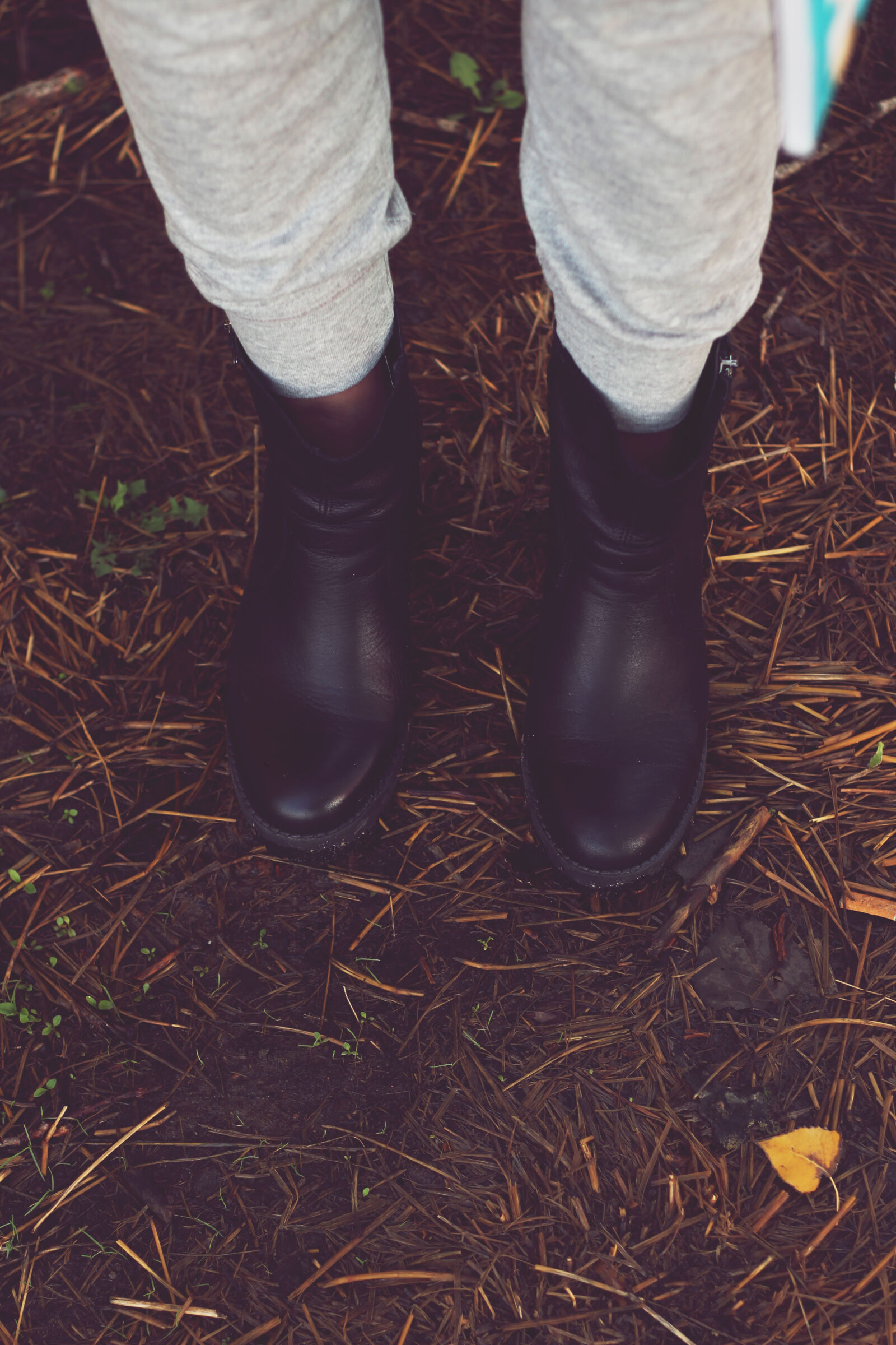 Canon EOS 600D (Rebel EOS T3i / EOS Kiss X5) + Canon EF 50mm F1.8 II sample photo. Autumn, shoes photography