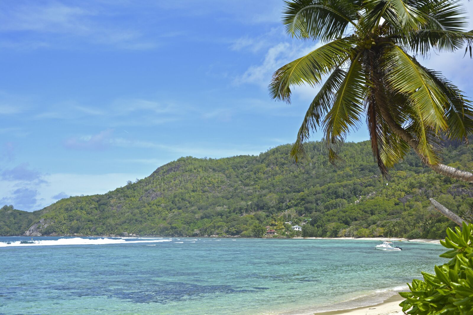 Nikon D5200 sample photo. Seychelles, praslin, palm trees photography