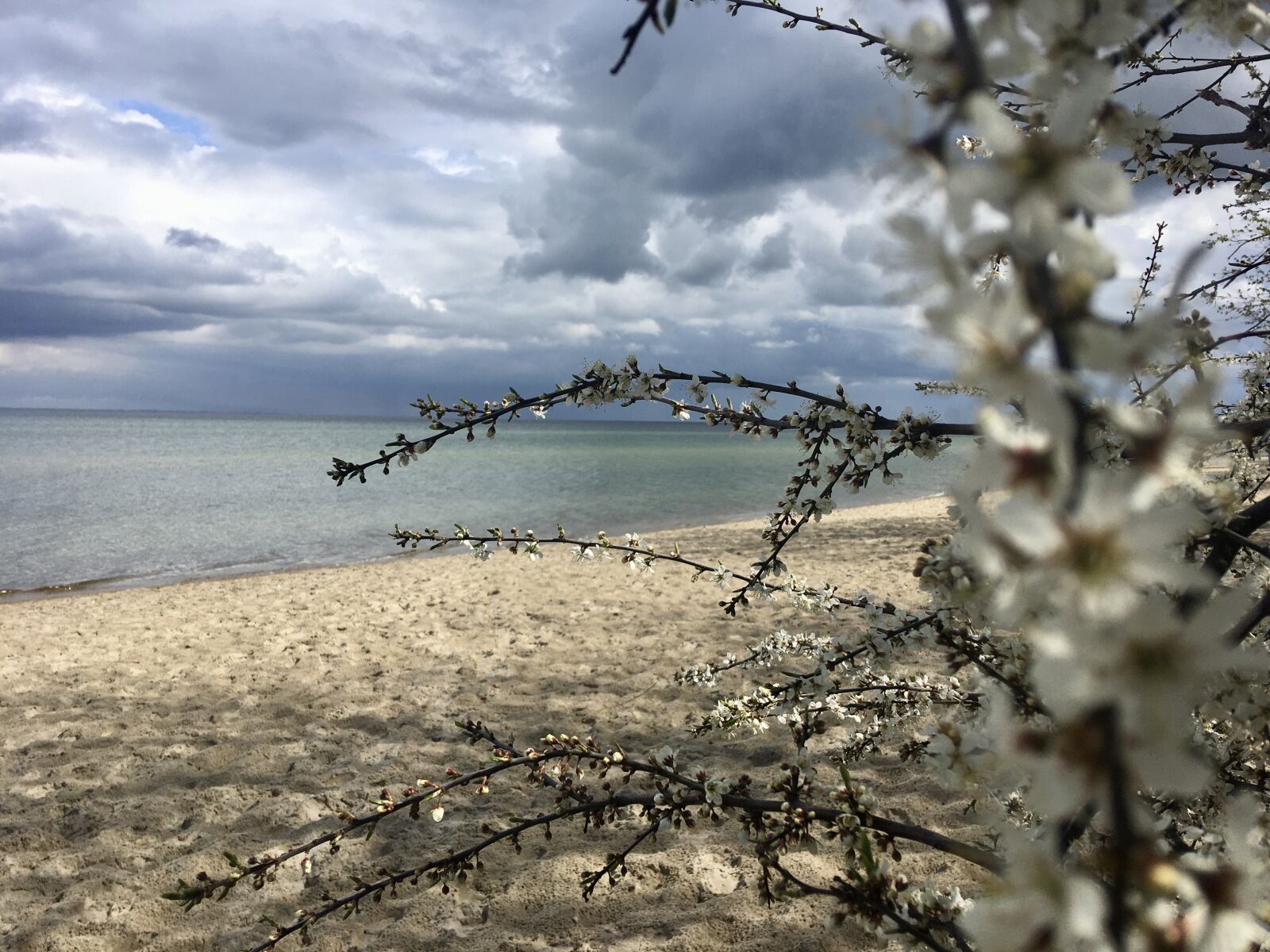 iPhone SE back camera 4.15mm f/2.2 sample photo. Pla a, morze, bez photography