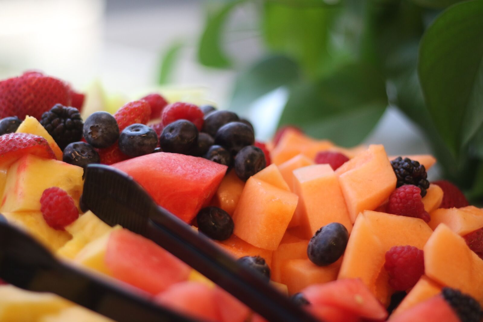 Canon EOS 7D Mark II sample photo. Fruit tray, compote, blueberries photography