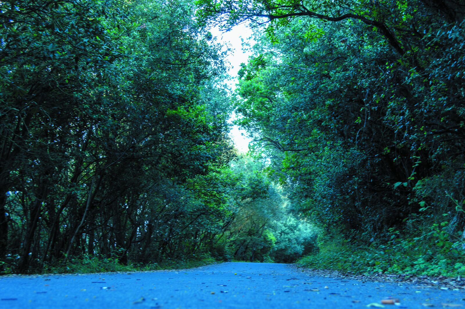 Nikon D3200 sample photo. Mountains, route, road photography