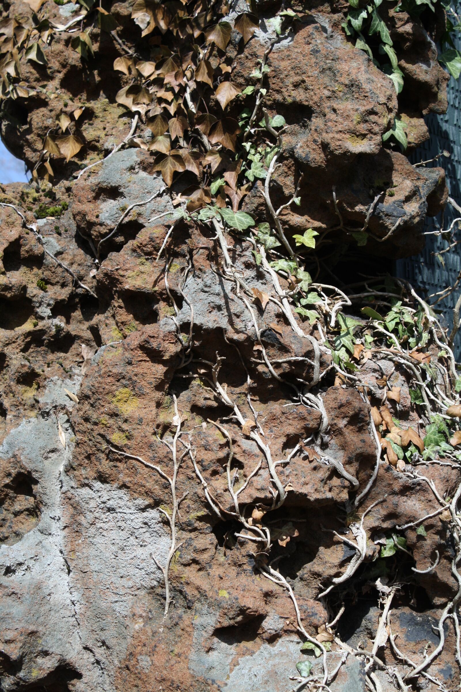 Canon EOS 1000D (EOS Digital Rebel XS / EOS Kiss F) sample photo. Stone, moss, texture photography