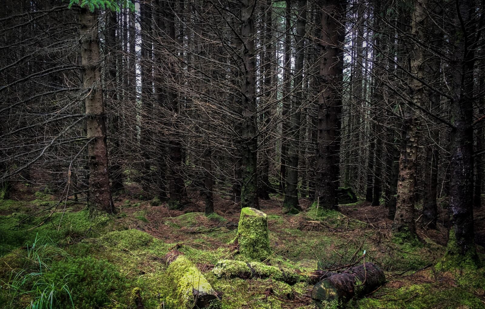 iPhone SE back camera 4.15mm f/2.2 sample photo. Scotland, hiking, landscape photography