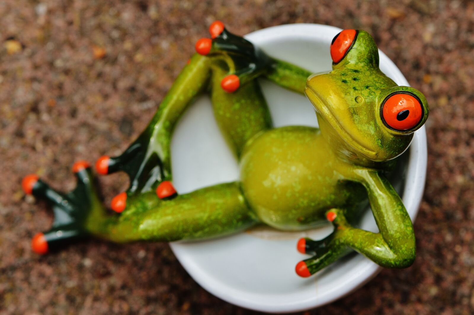 Nikon D3200 sample photo. Frog, funny, cute photography