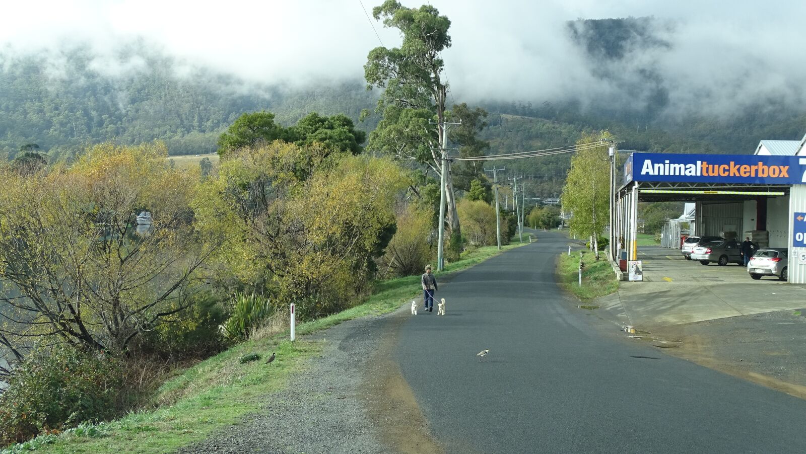 Sony Cyber-shot DSC-HX350 sample photo. Tasmania, huon valley, air photography