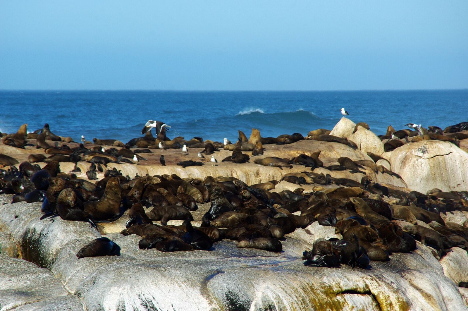 Pentax K200D sample photo. South africa, shore, sea photography