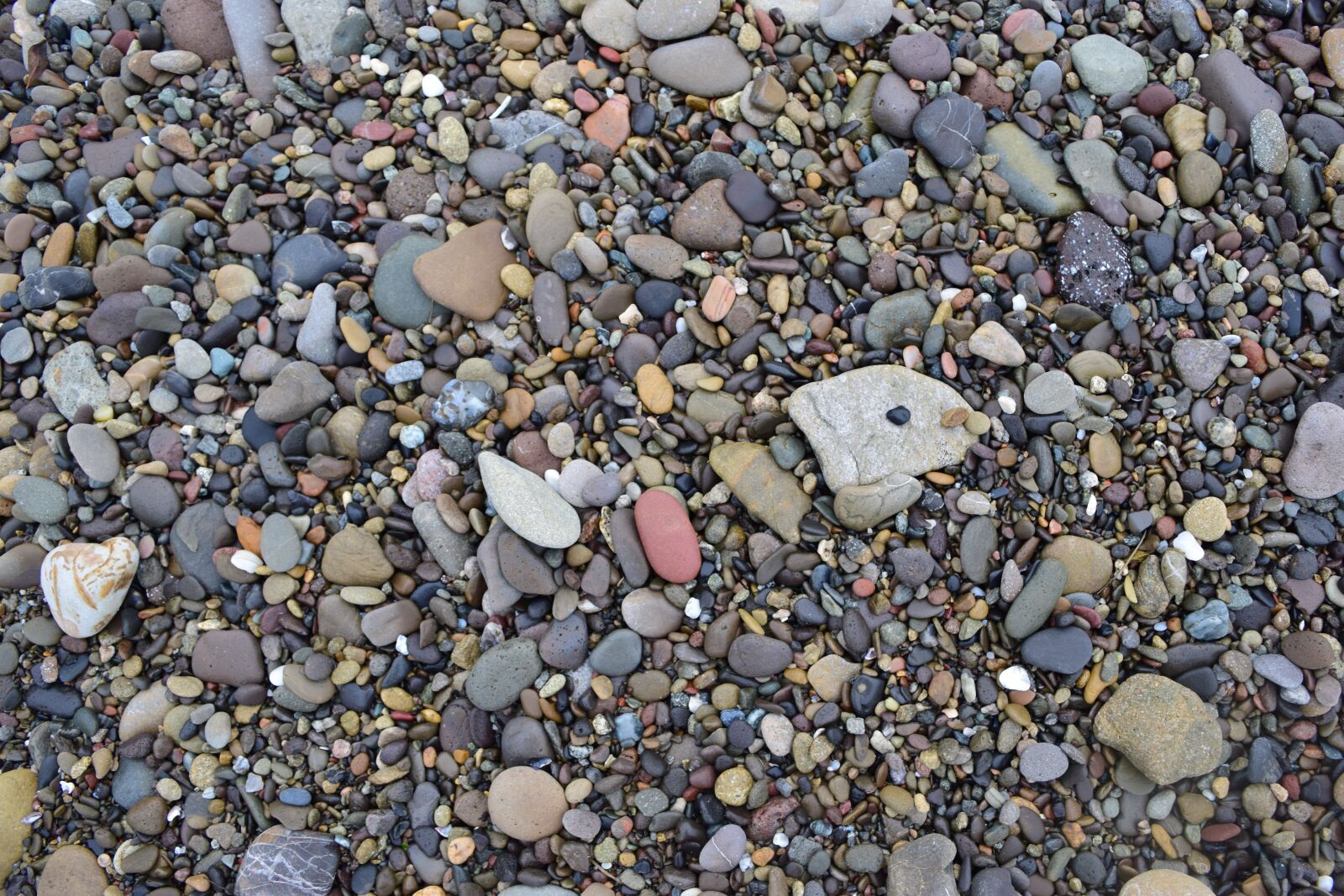 Nikon D5300 sample photo. Beach background, vacation, summer photography