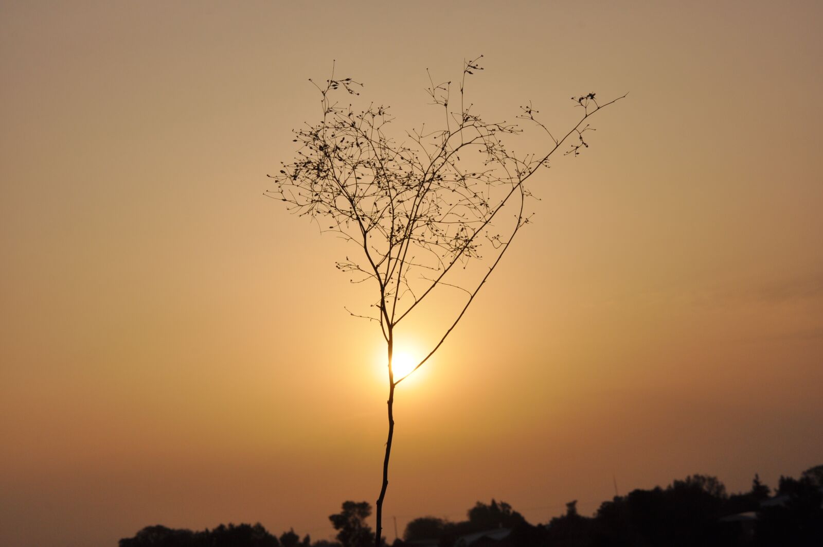 Nikon D90 sample photo. Sunset, nature, abendstimmung photography