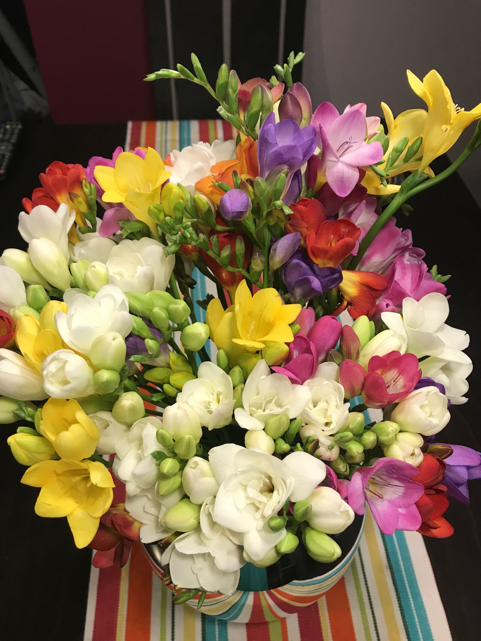Apple iPhone 7 Plus sample photo. Freesias 3, flowers, nature photography