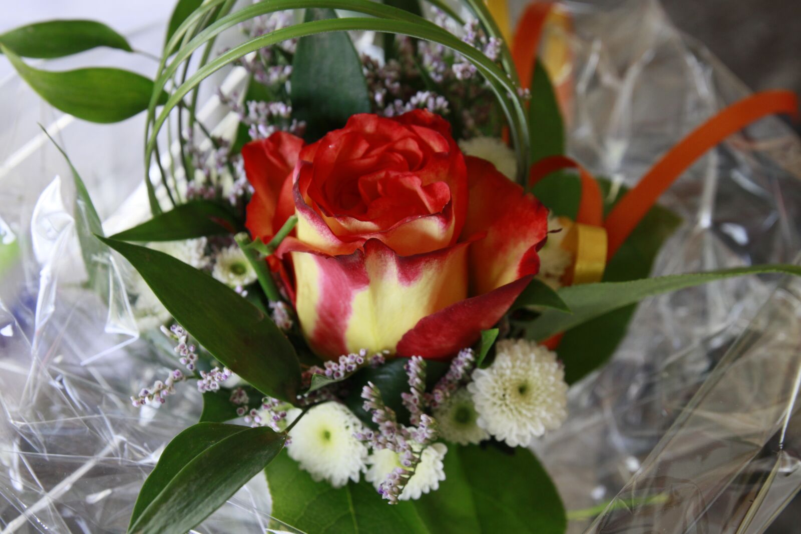 Canon EOS 50D sample photo. Flower, blossom, bloom photography