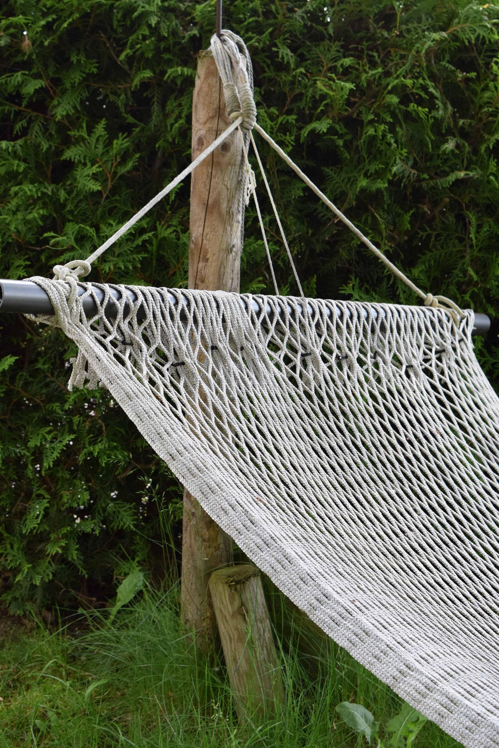 Nikon D3300 sample photo. Outdoor, knitting, rope, tree photography