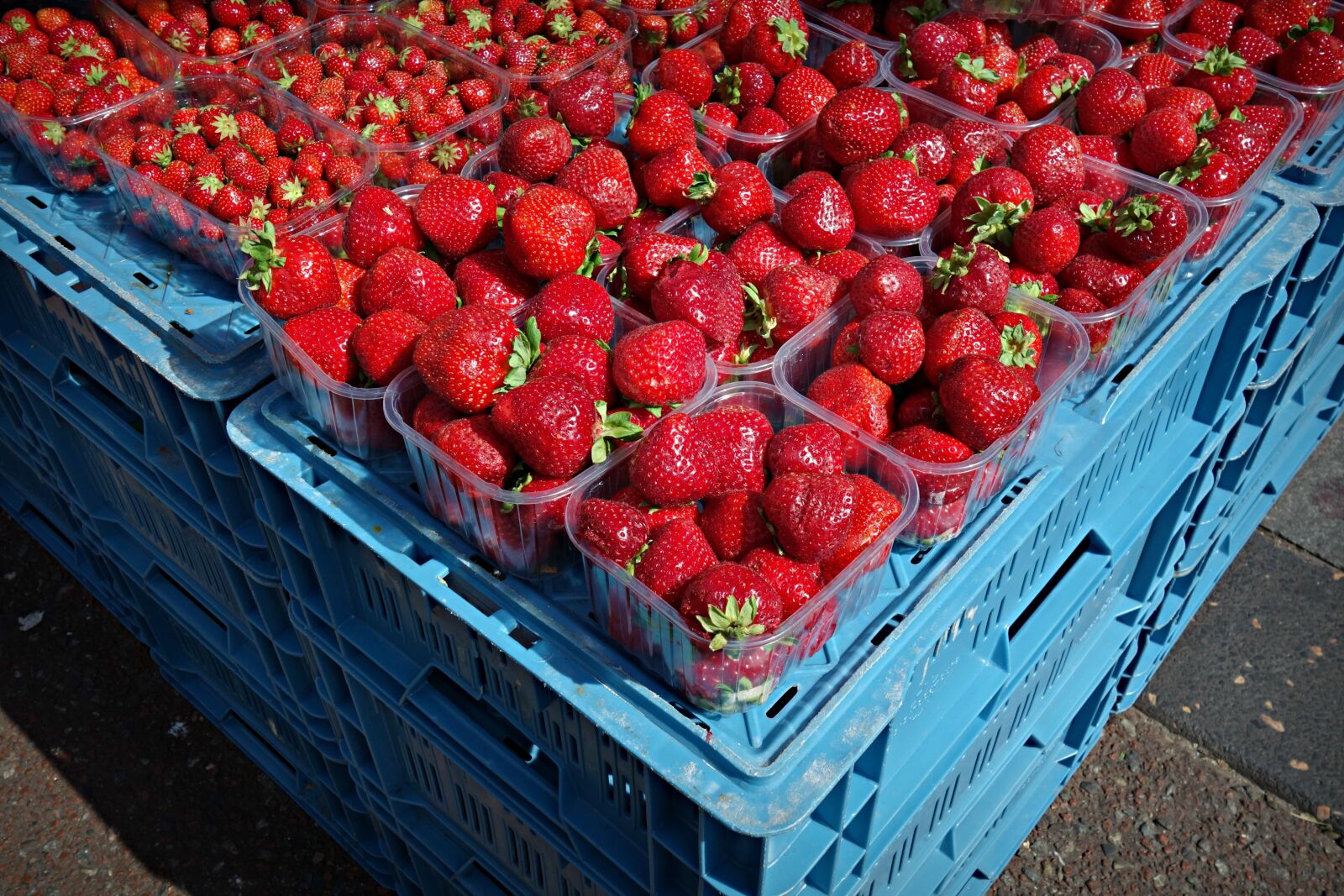 Sony Cyber-shot DSC-RX100 sample photo. Strawberry, fruit, fresh fruit photography