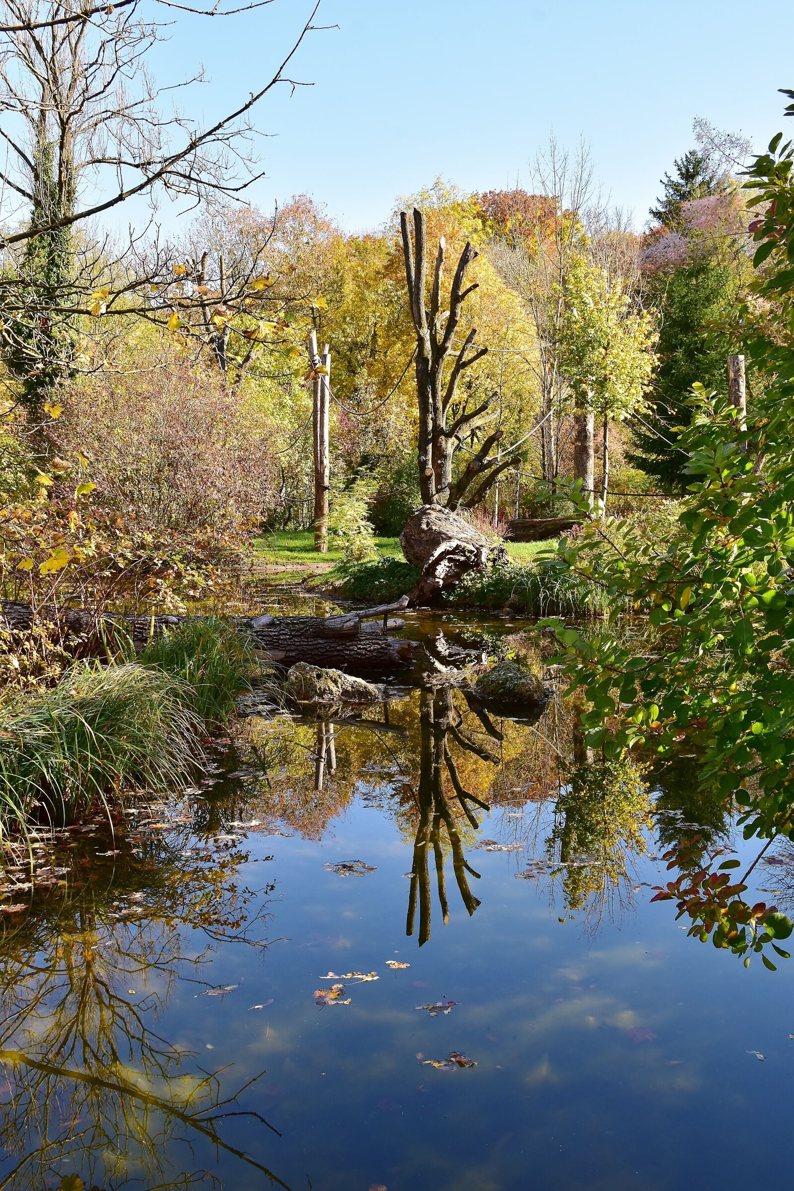 Nikon D7200 sample photo. Water, mirroring, river photography