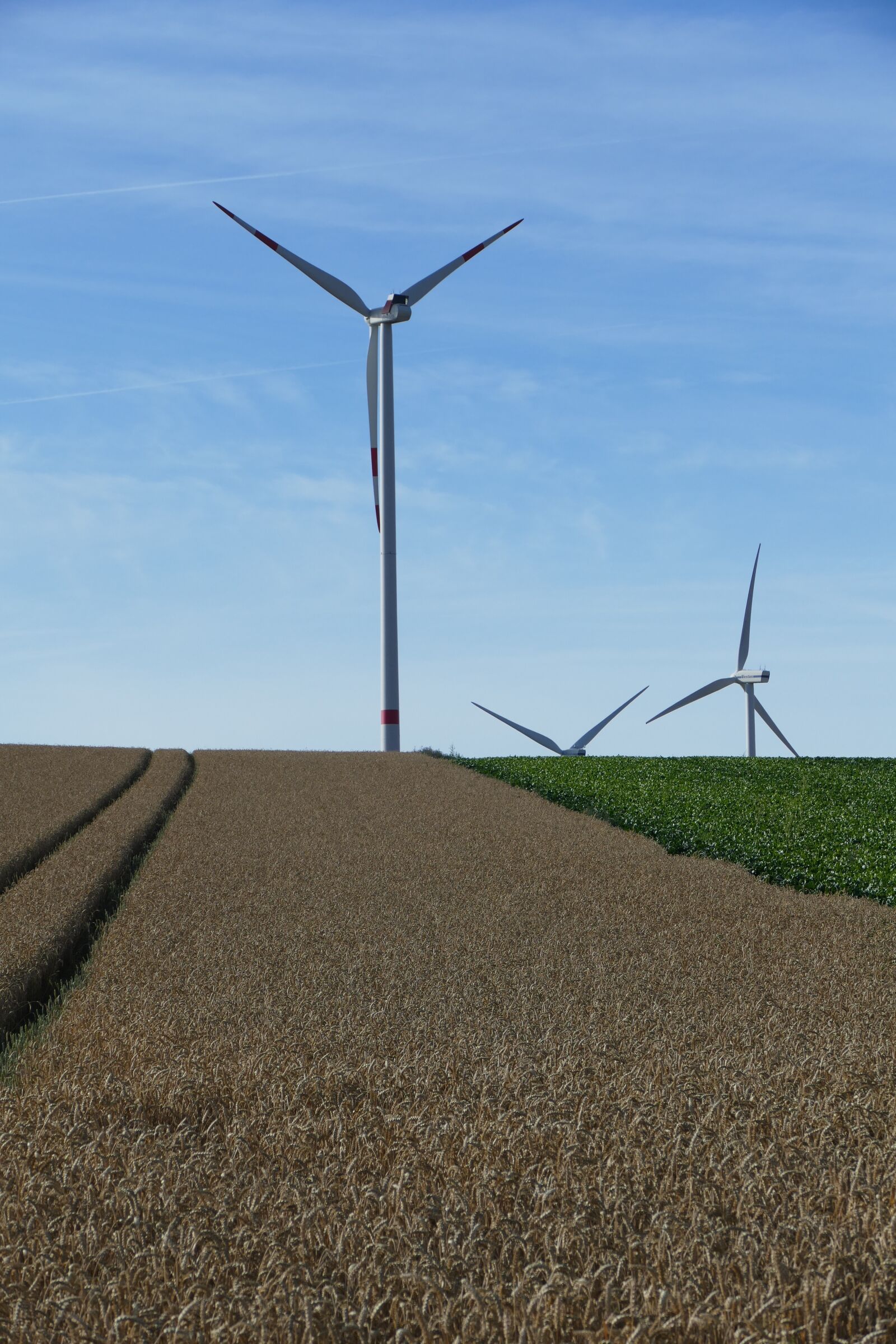 Panasonic Lumix DMC-FZ1000 sample photo. Nature, vision, wind turbines photography