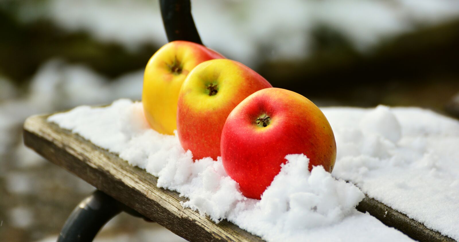 Nikon D5200 sample photo. Apple, snow, winter photography