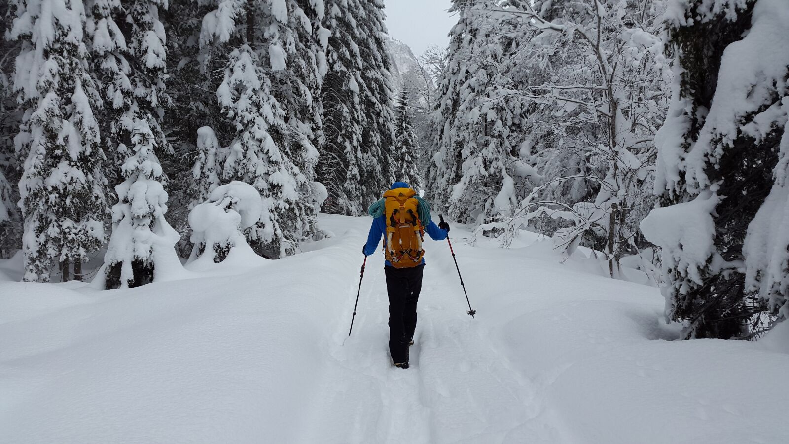 Samsung Galaxy Alpha sample photo. Hiking, snow, forest photography
