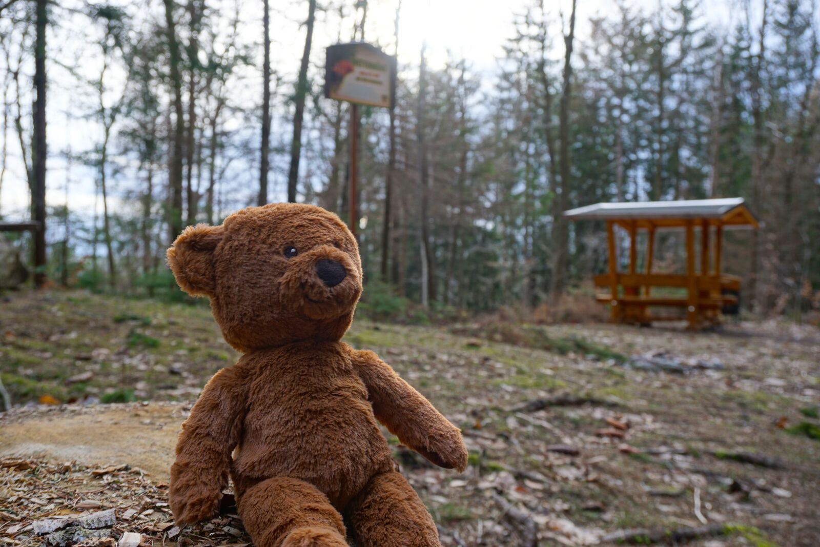 Sony a6000 sample photo. Teddy, bear, toys photography