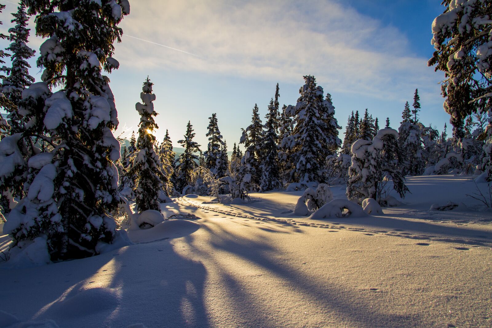 Canon EF-S 17-85mm F4-5.6 IS USM sample photo. Winter, snow, trails photography