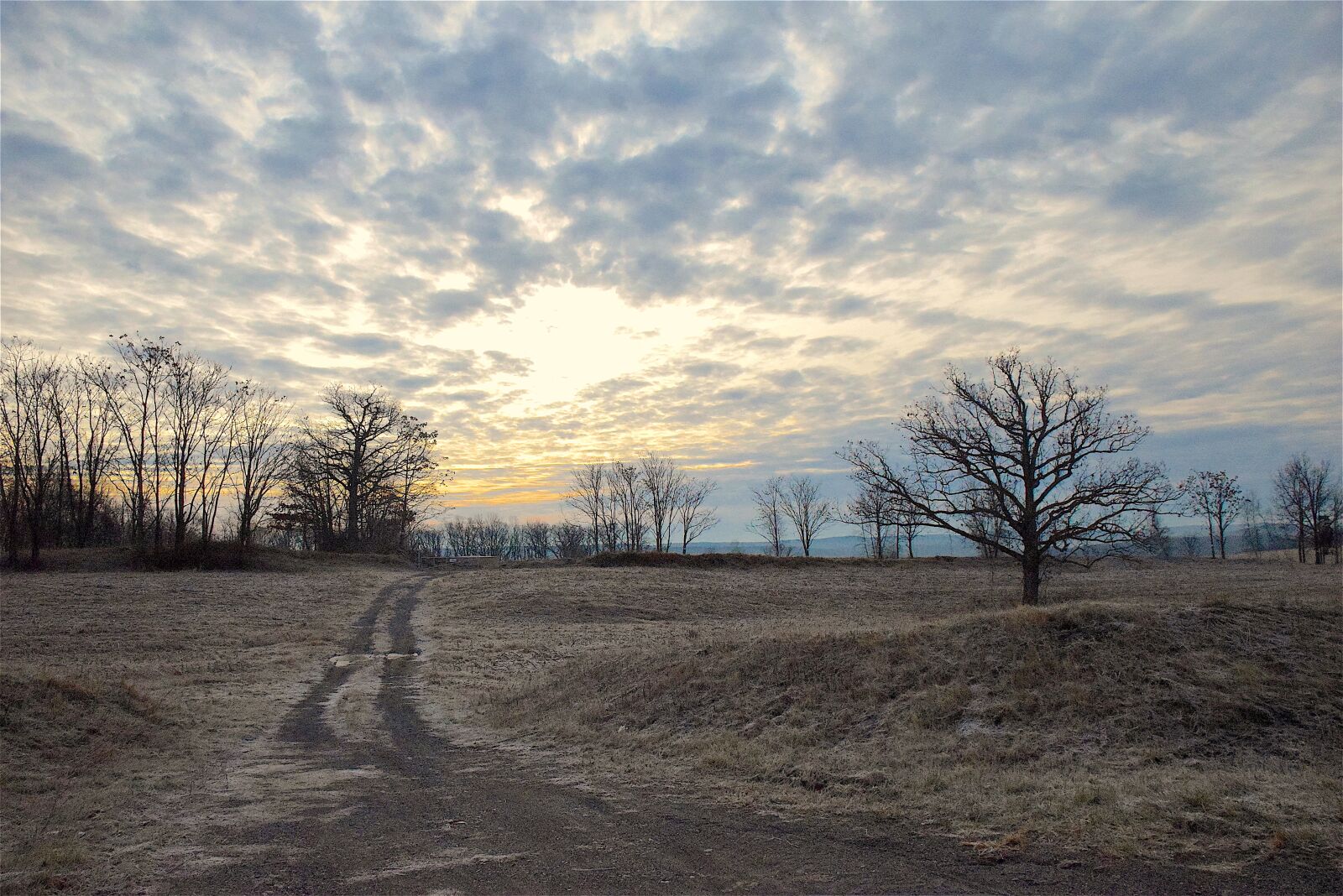 Nikon D3300 sample photo. Winter, sunrise, bright photography