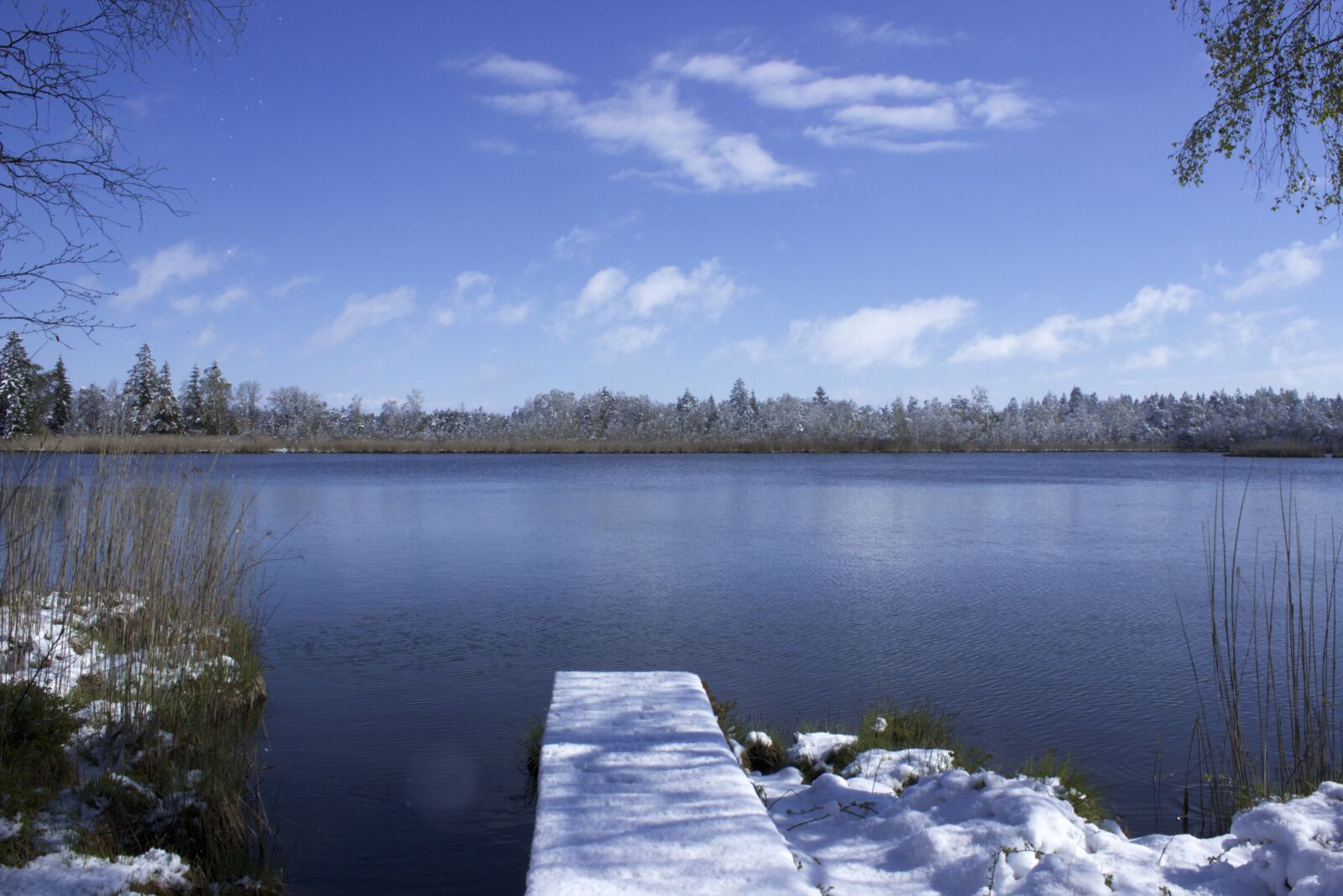 Canon EOS 600D (Rebel EOS T3i / EOS Kiss X5) sample photo. Bad wurzach, nature reserve photography