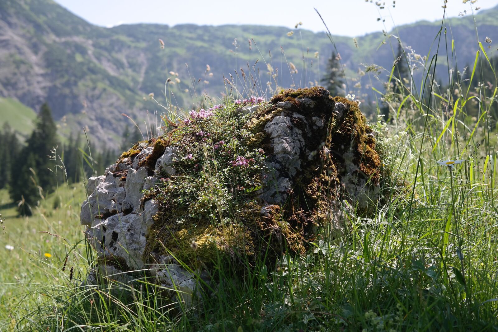 Samsung NX300 sample photo. Stone, limestone, rock photography