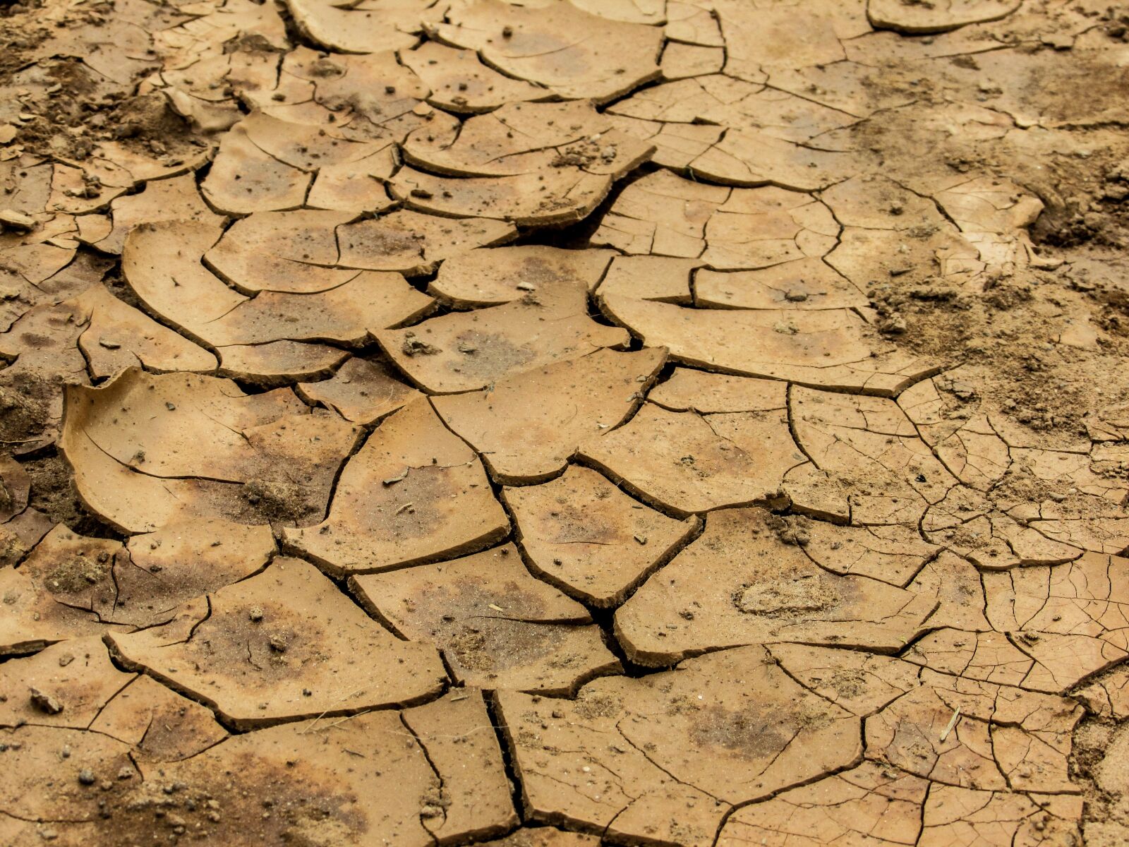 Canon PowerShot SX400 IS sample photo. Earth, clay, dry photography