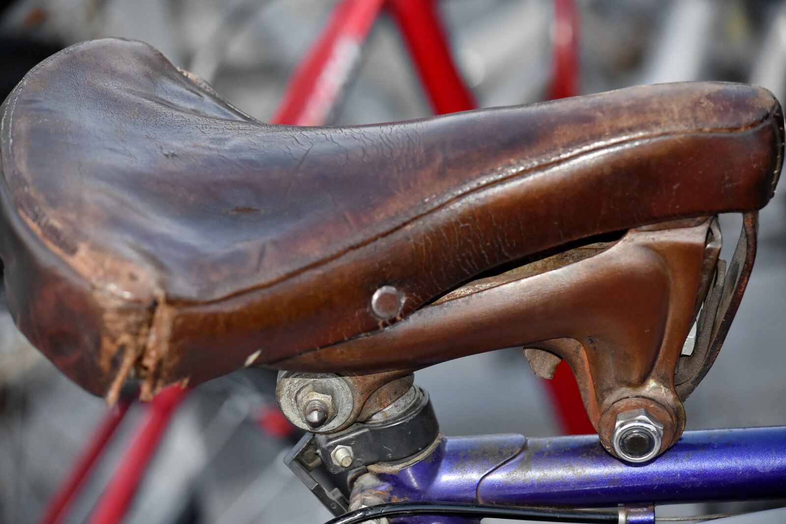 Nikon D5500 sample photo. Antiquity, history, leather, old photography