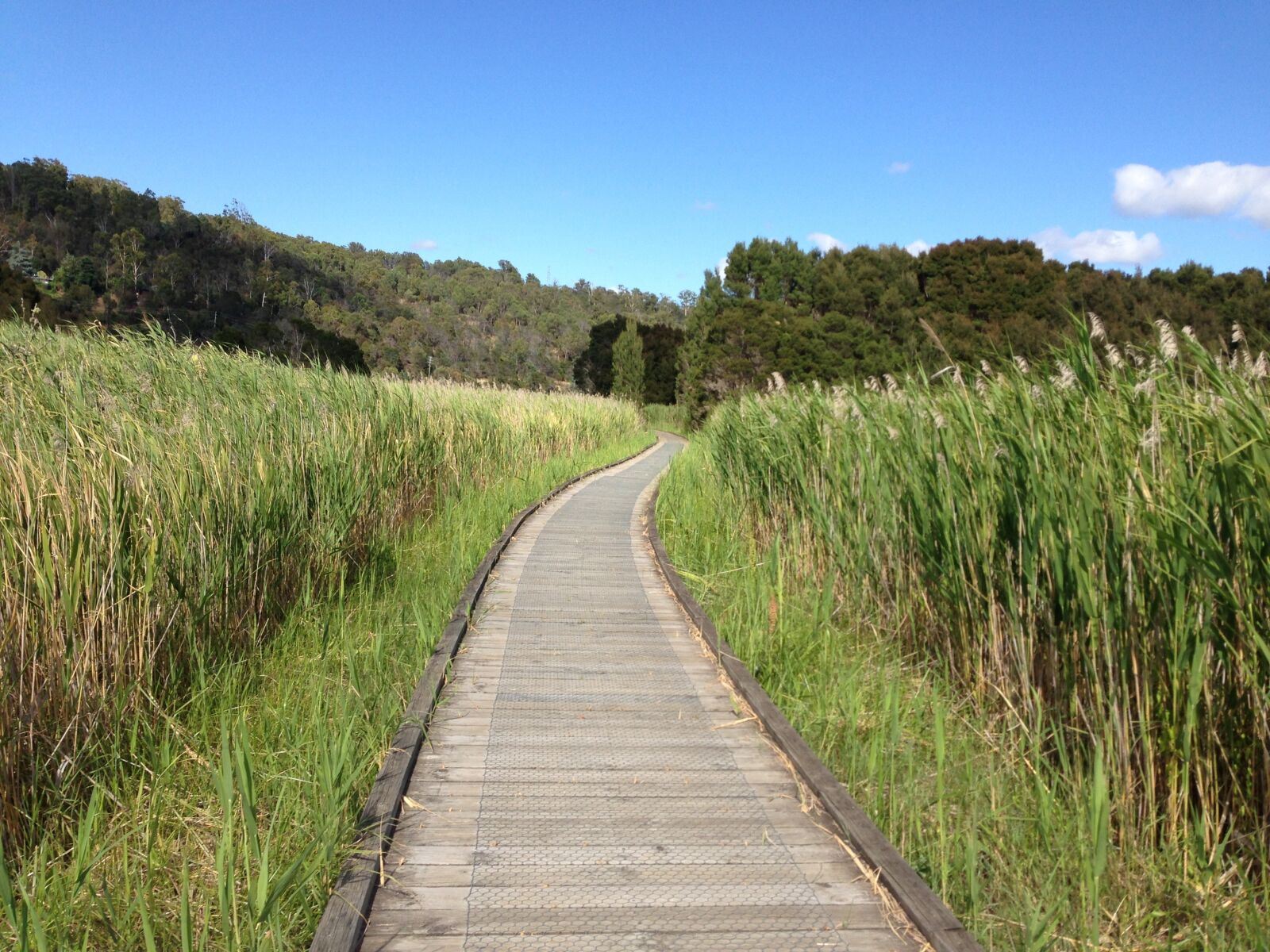 Apple iPhone 5 sample photo. Path, timber, track photography