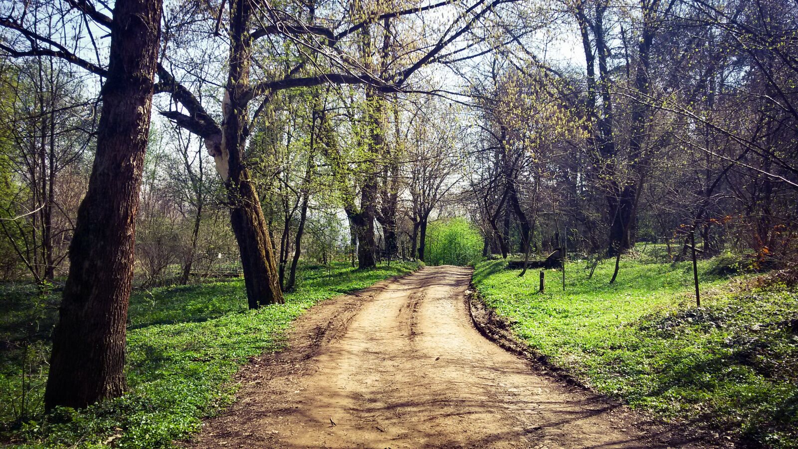 Samsung Galaxy S5 Mini sample photo. Path, forrest, outdoor photography