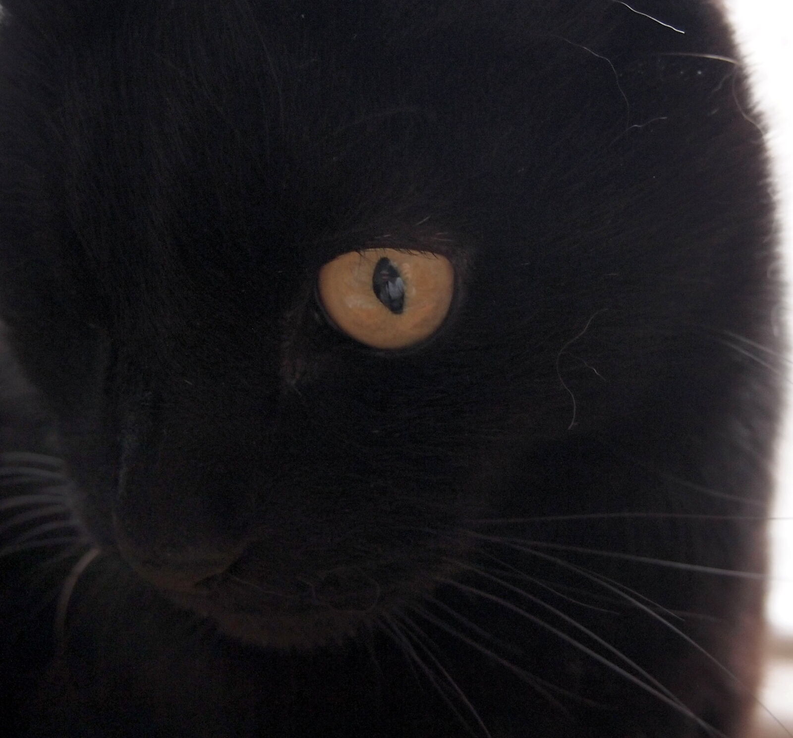 Olympus PEN E-PL2 sample photo
