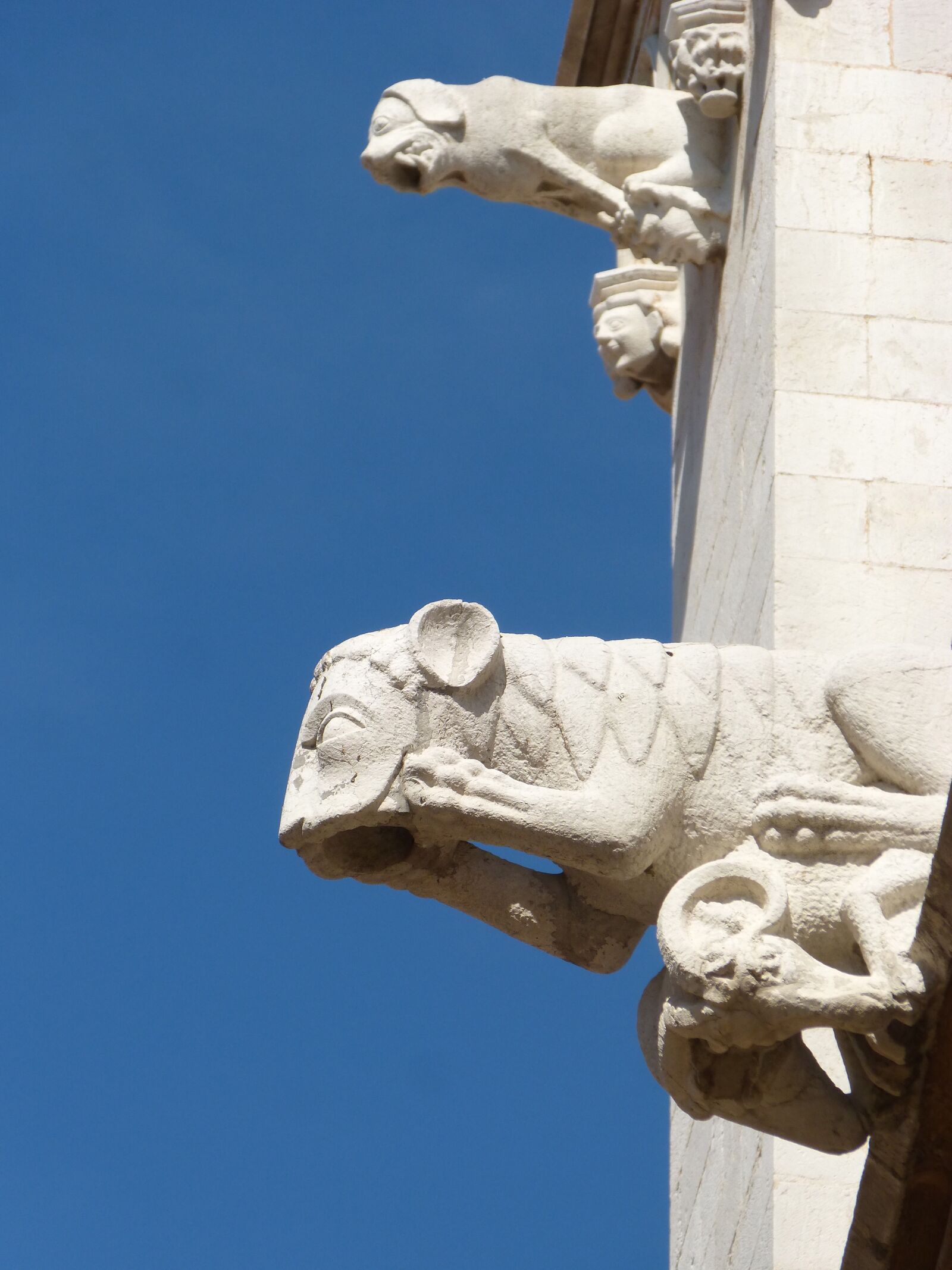Panasonic DMC-FZ62 sample photo. Gargoyles, gothic, tarragona cathedral photography