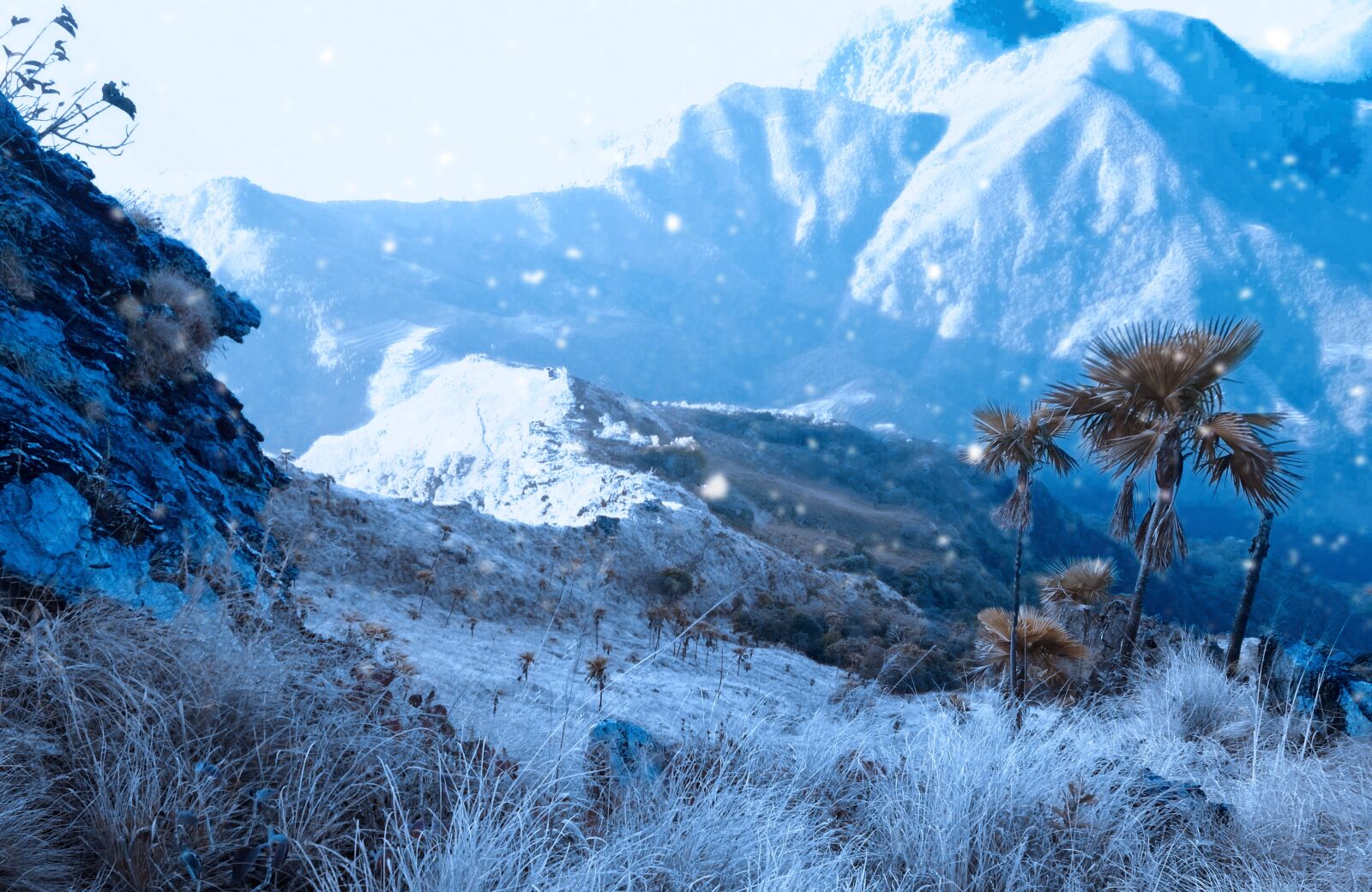 Xiaomi Redmi 4X sample photo. Nature, snowfall, season photography