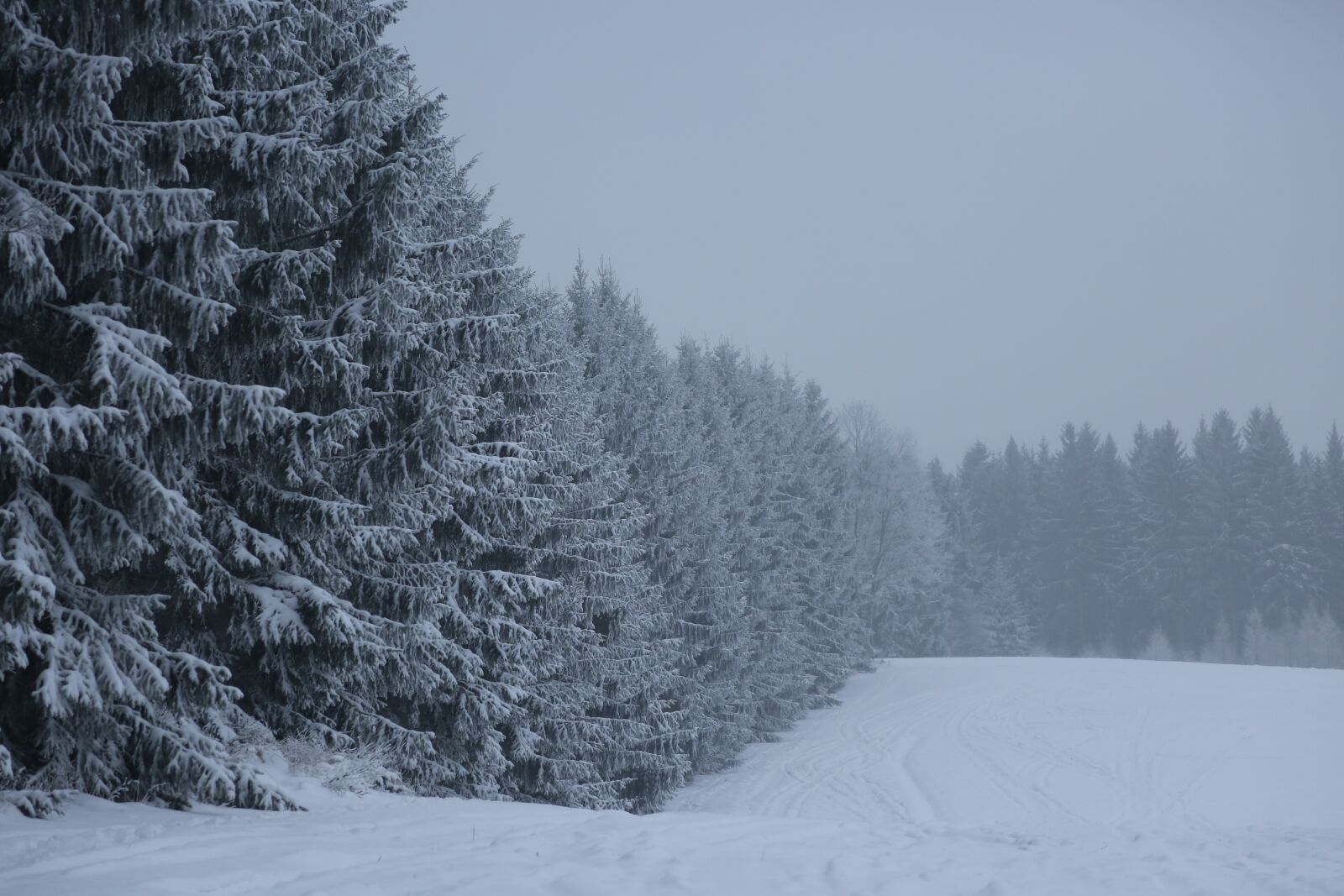 Canon EF 24-105mm F4L IS USM sample photo. Winter, cold, wintry photography